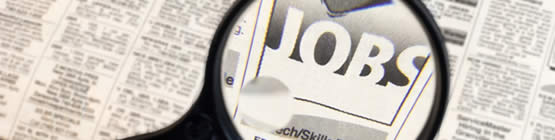 Job Search Job Search